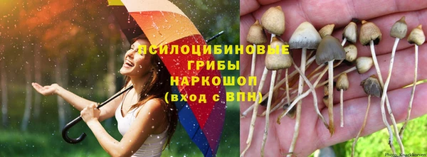 круглые Вязьма