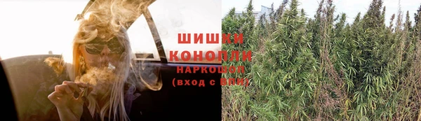 метадон Вяземский
