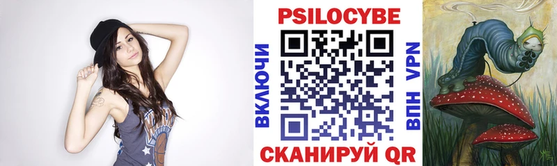 Галлюциногенные грибы Psilocybine cubensis Чистополь